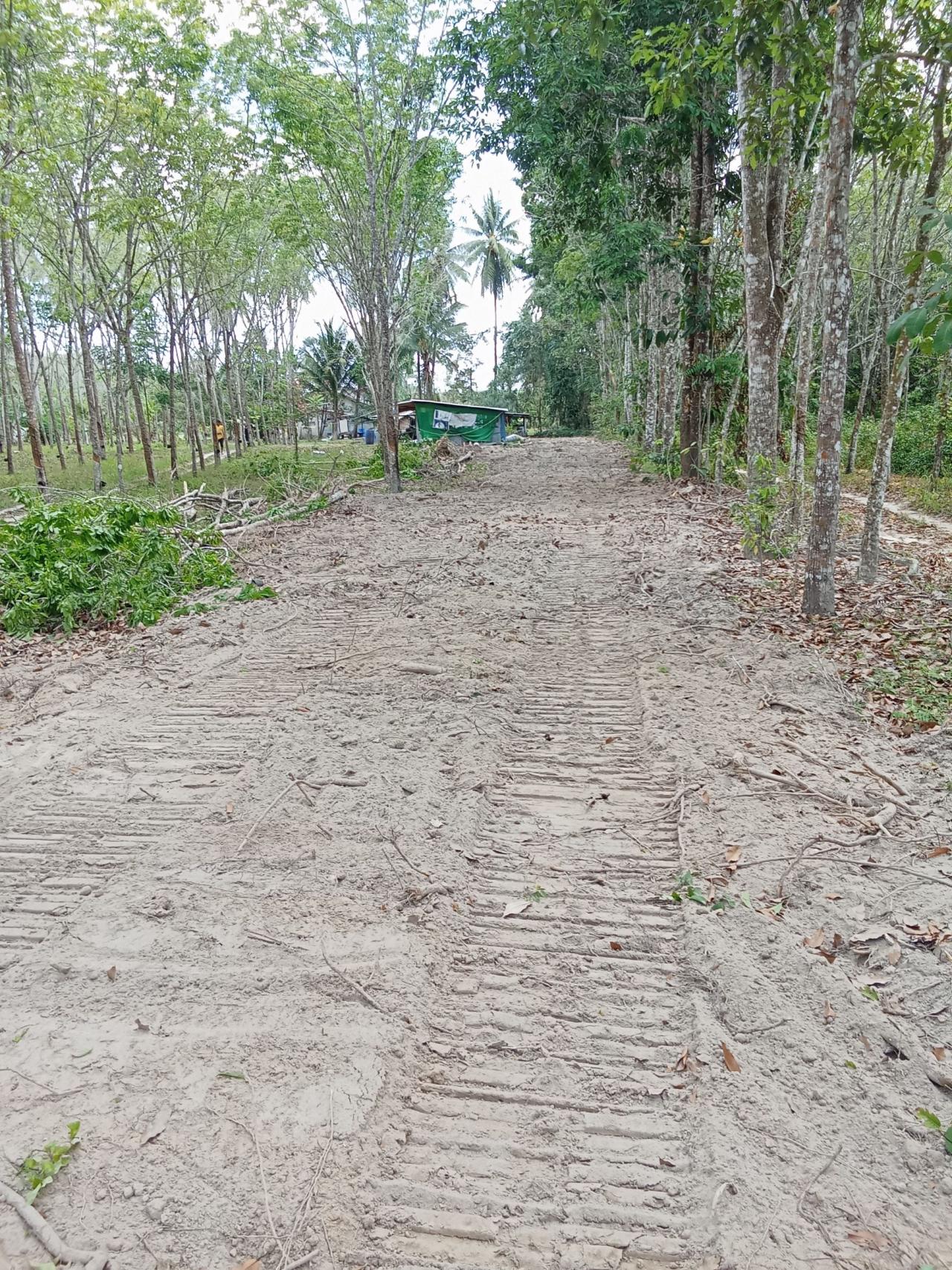 ภาพประกอบที่ 5