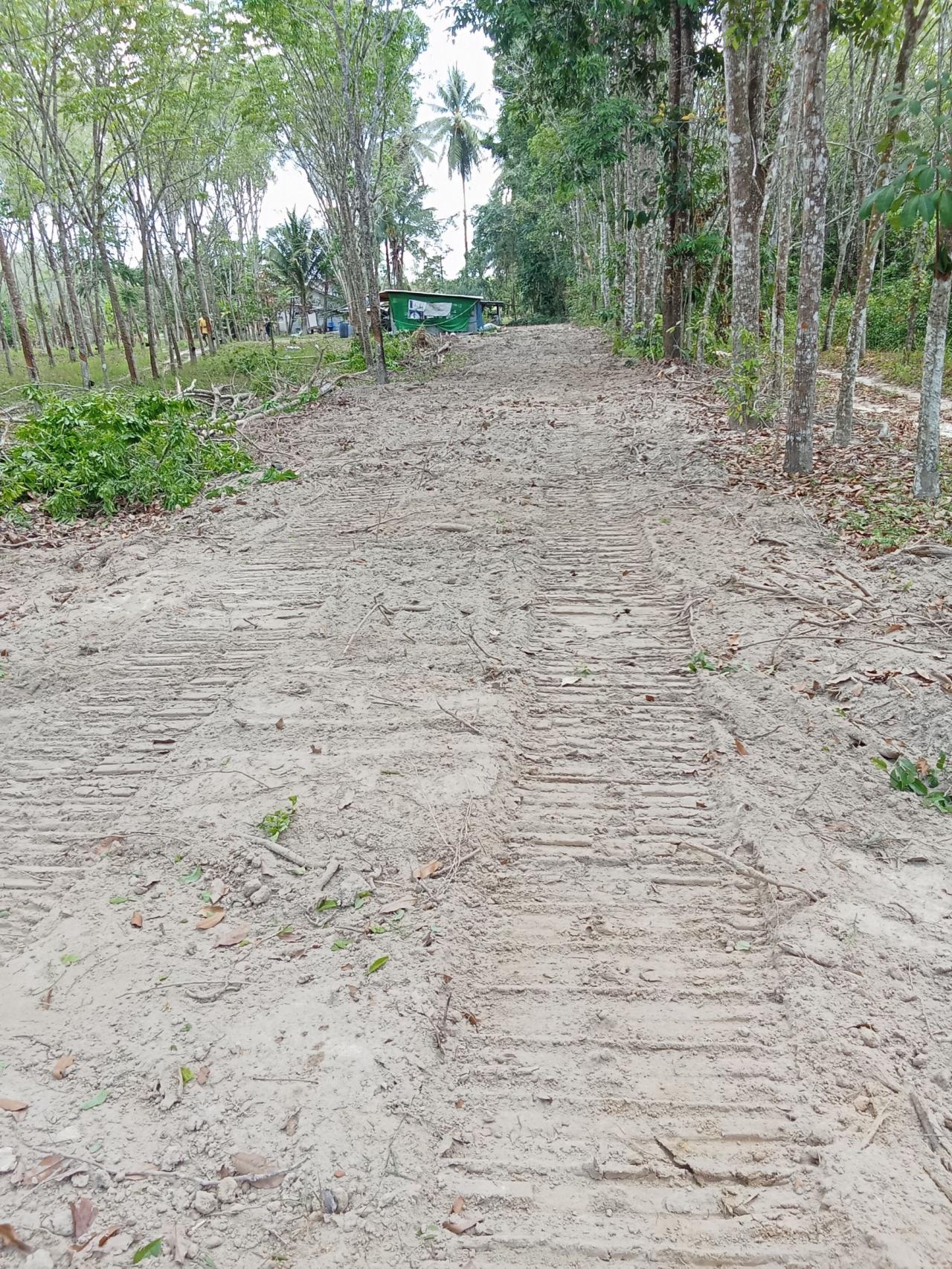 ภาพประกอบที่ 6