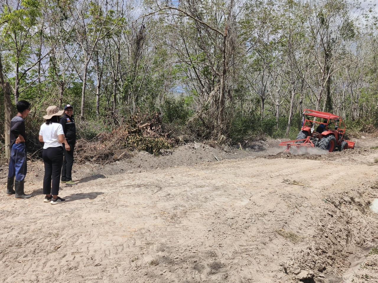 ภาพประกอบที่ 3