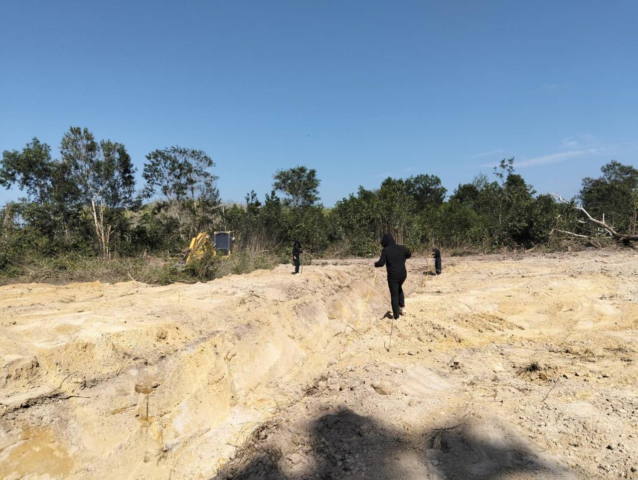 ภาพประกอบที่ 11