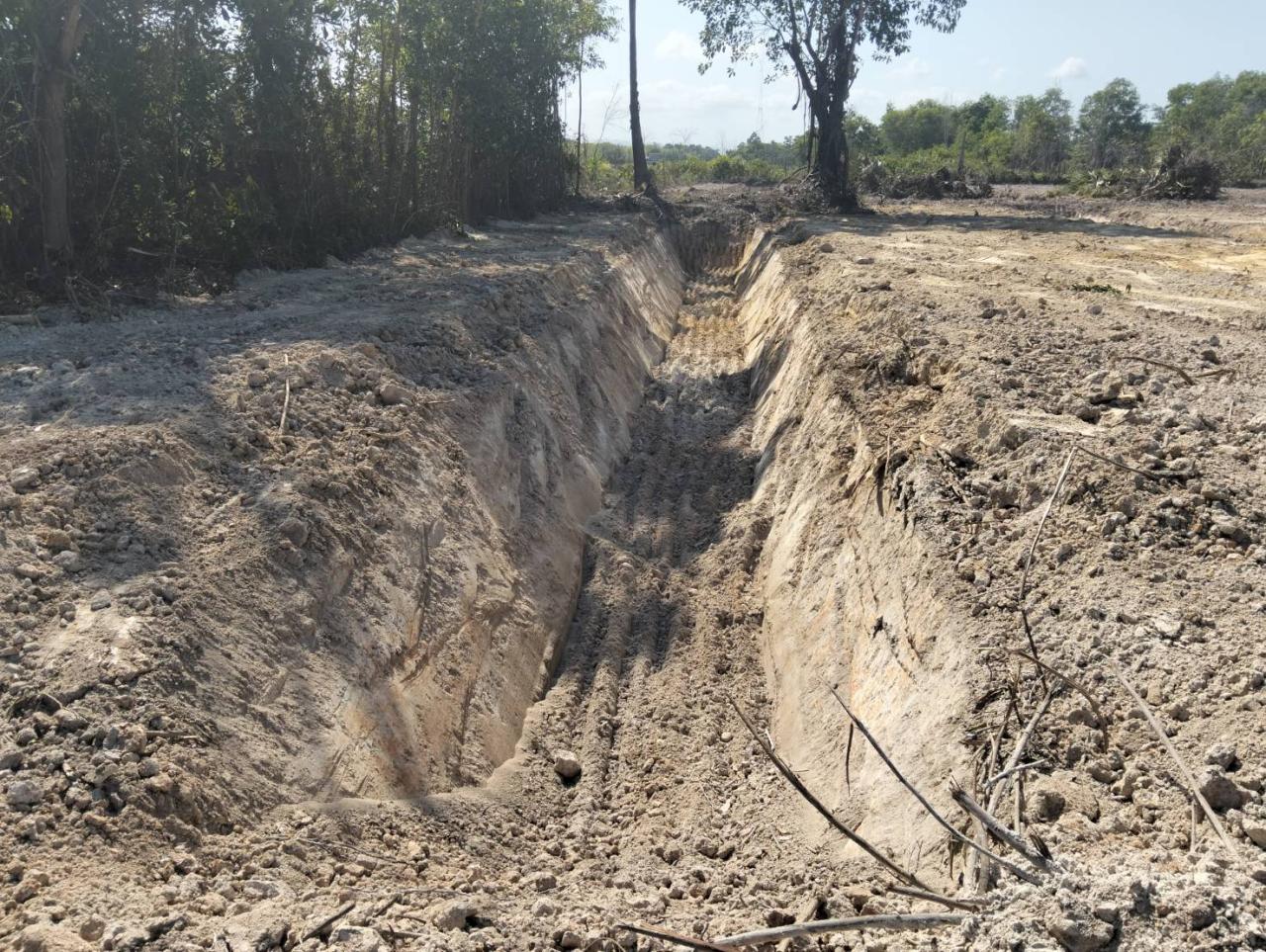 ภาพประกอบที่ 14