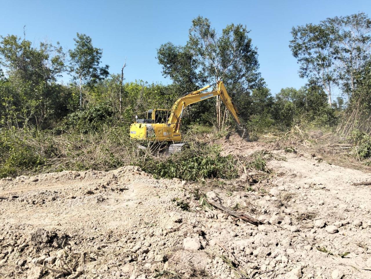 ภาพประกอบที่ 15