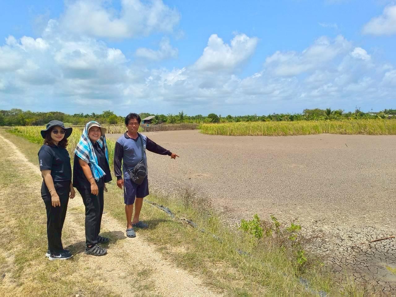 ภาพประกอบที่ 4