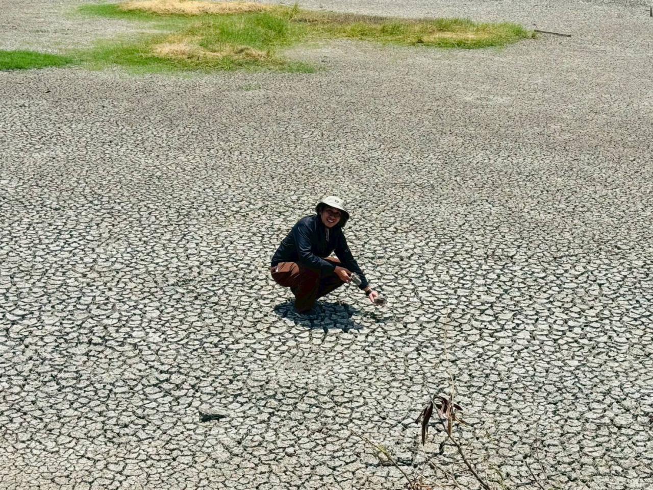 ภาพประกอบที่ 5