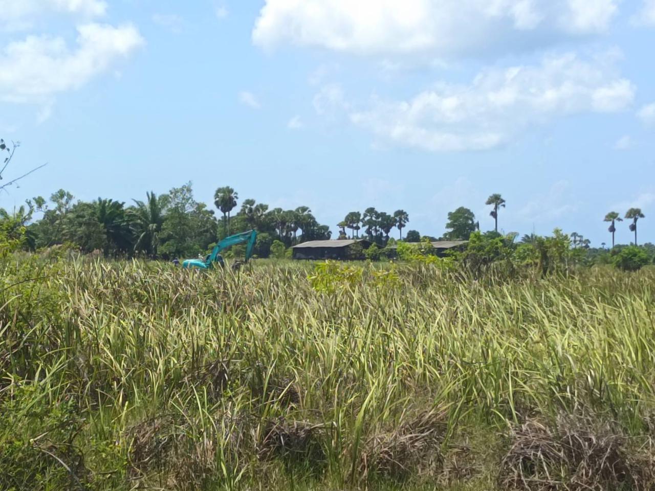 ภาพประกอบที่ 10