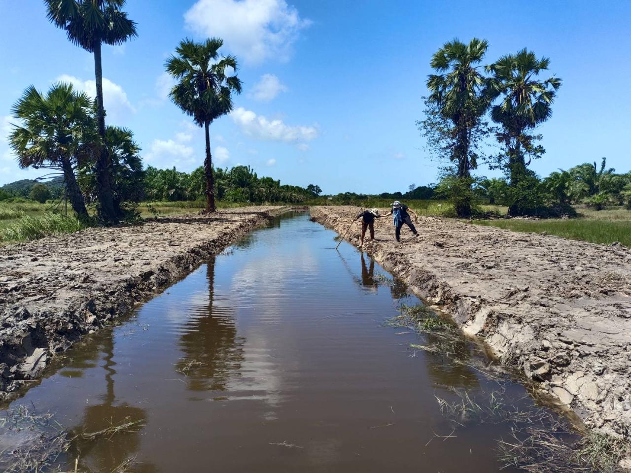 ภาพประกอบที่ 11
