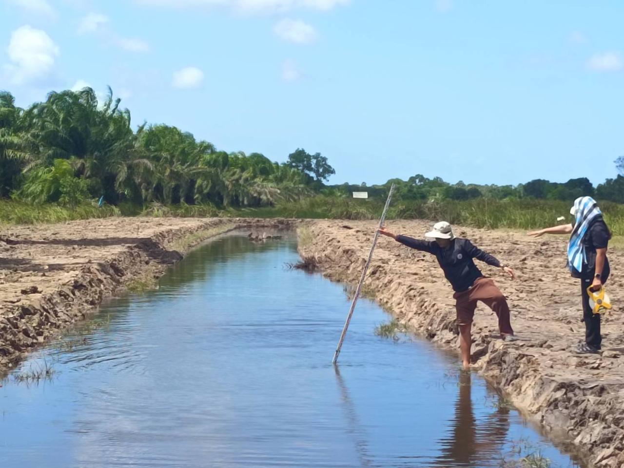 ภาพประกอบที่ 13