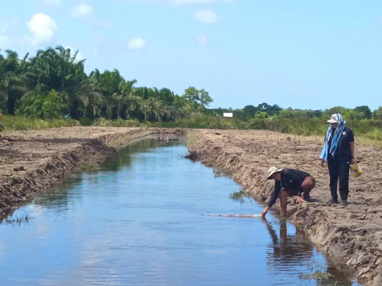 ภาพประกอบที่ 14