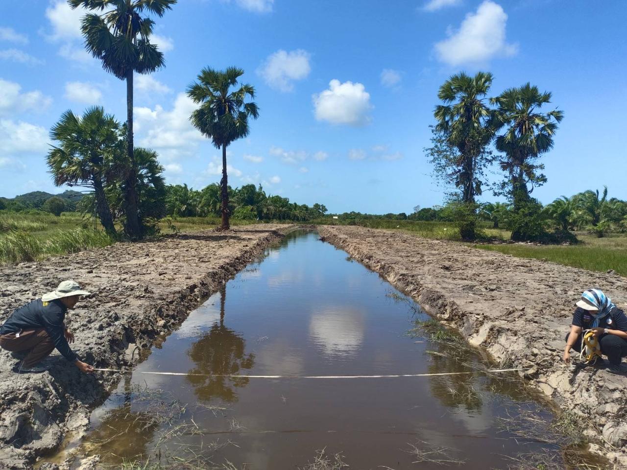 ภาพประกอบที่ 15