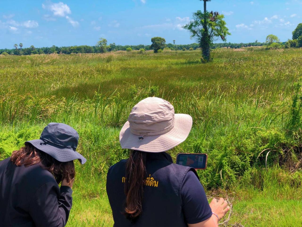 ภาพประกอบที่ 0