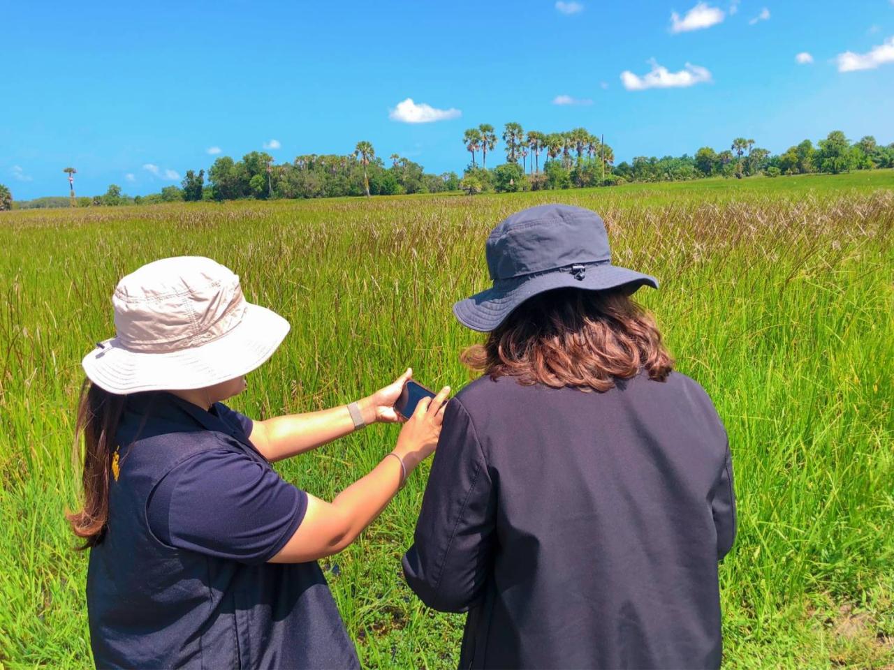 ภาพประกอบที่ 3