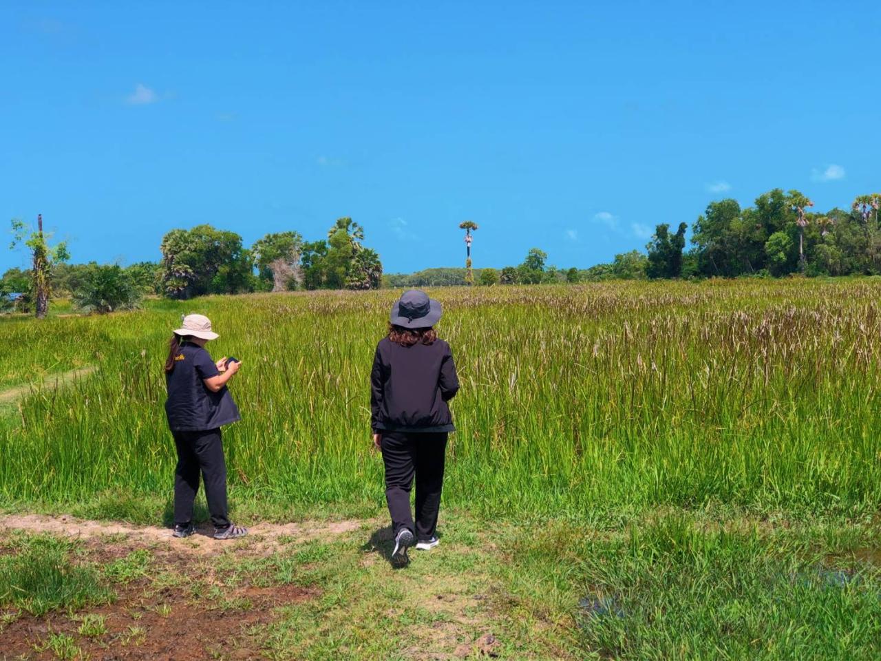 ภาพประกอบที่ 4