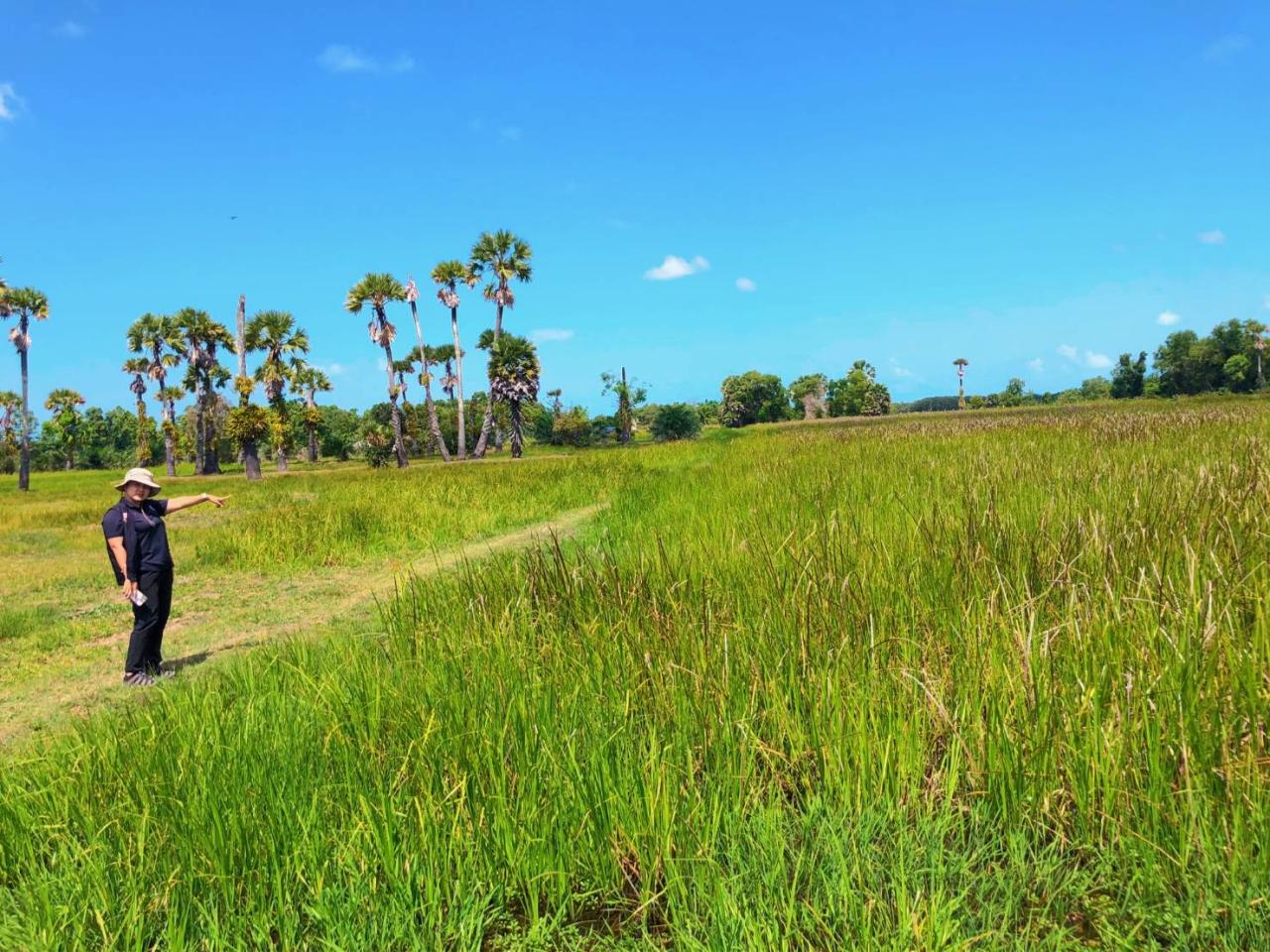 ภาพประกอบที่ 5