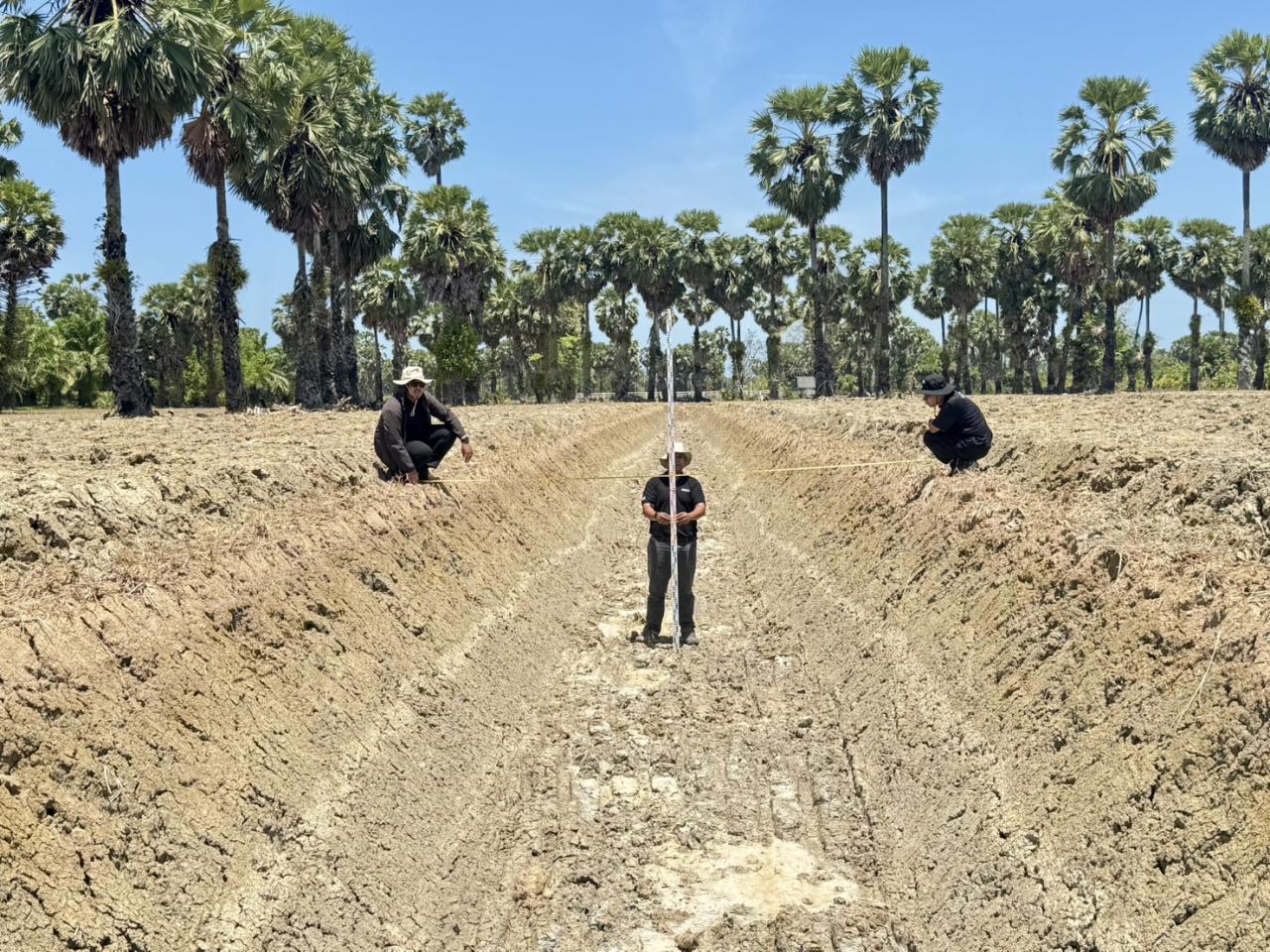 ภาพประกอบที่ 3