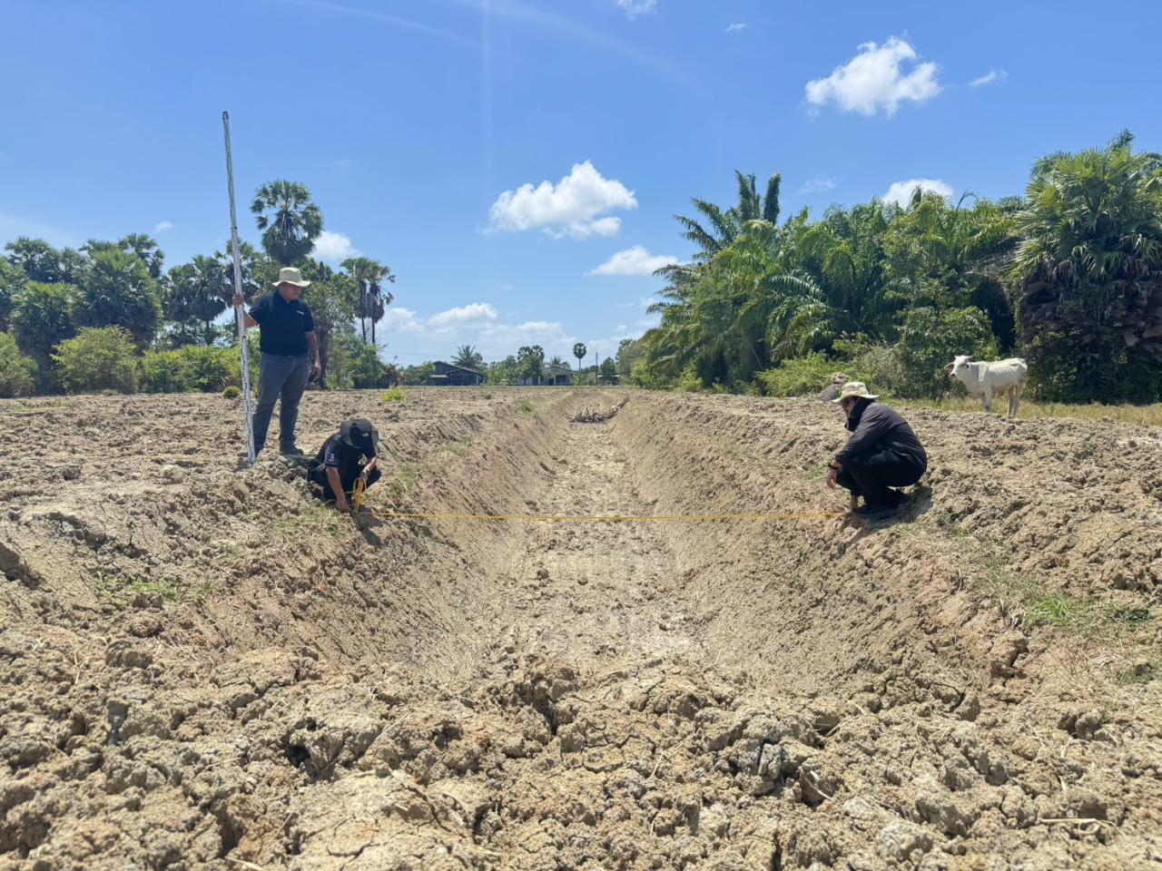 ภาพประกอบที่ 7