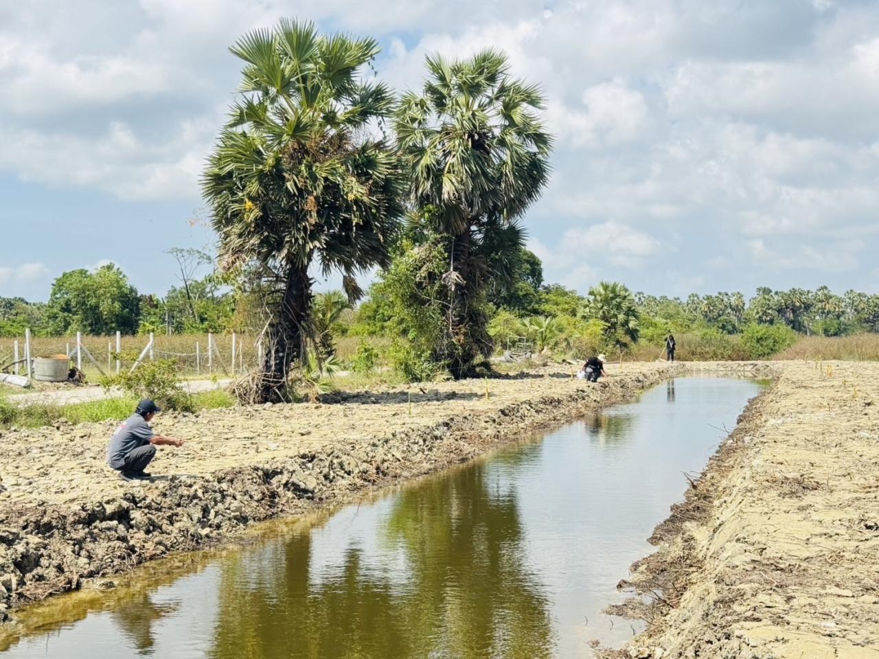 ภาพประกอบที่ 4