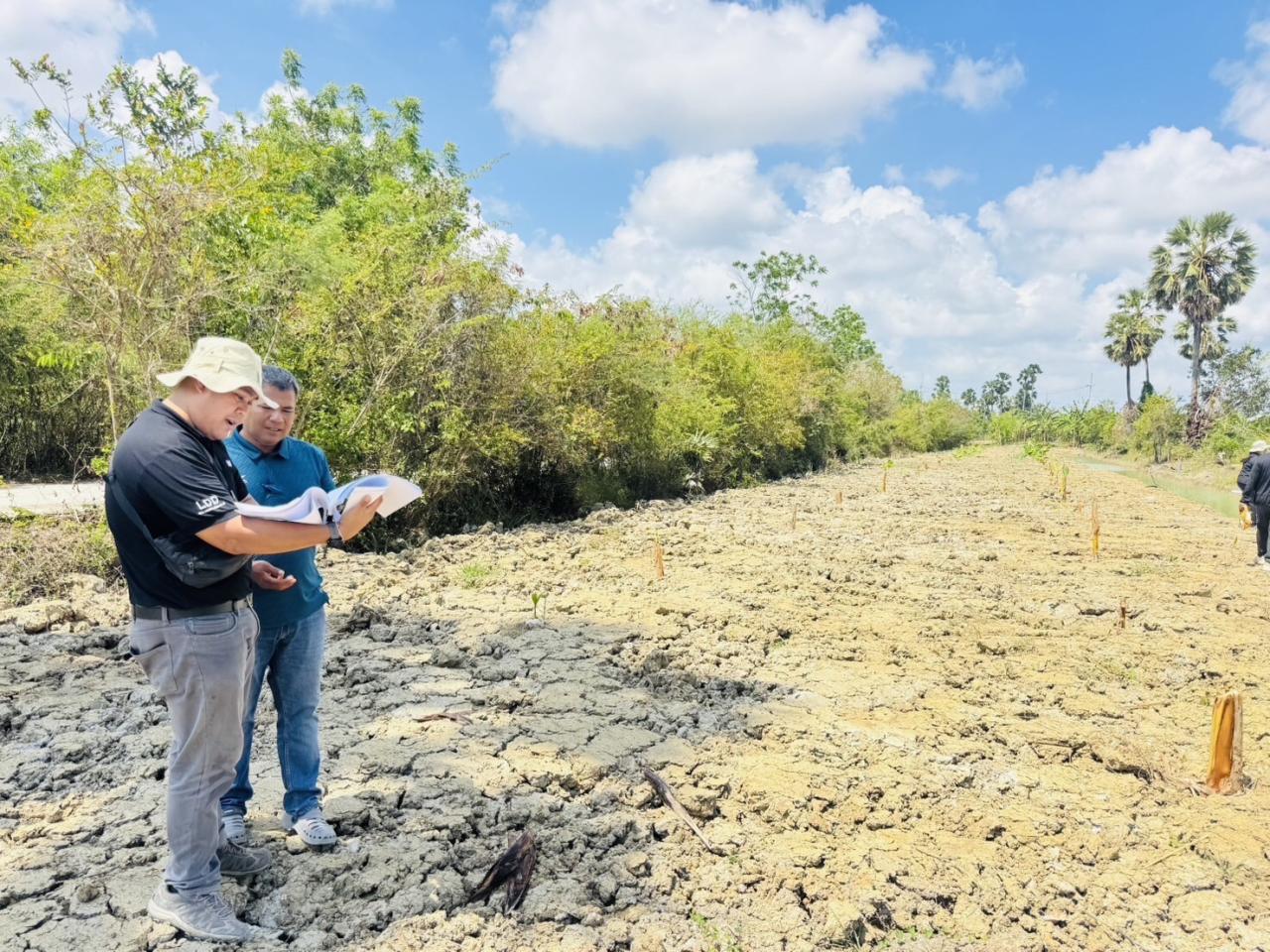 ภาพประกอบที่ 5