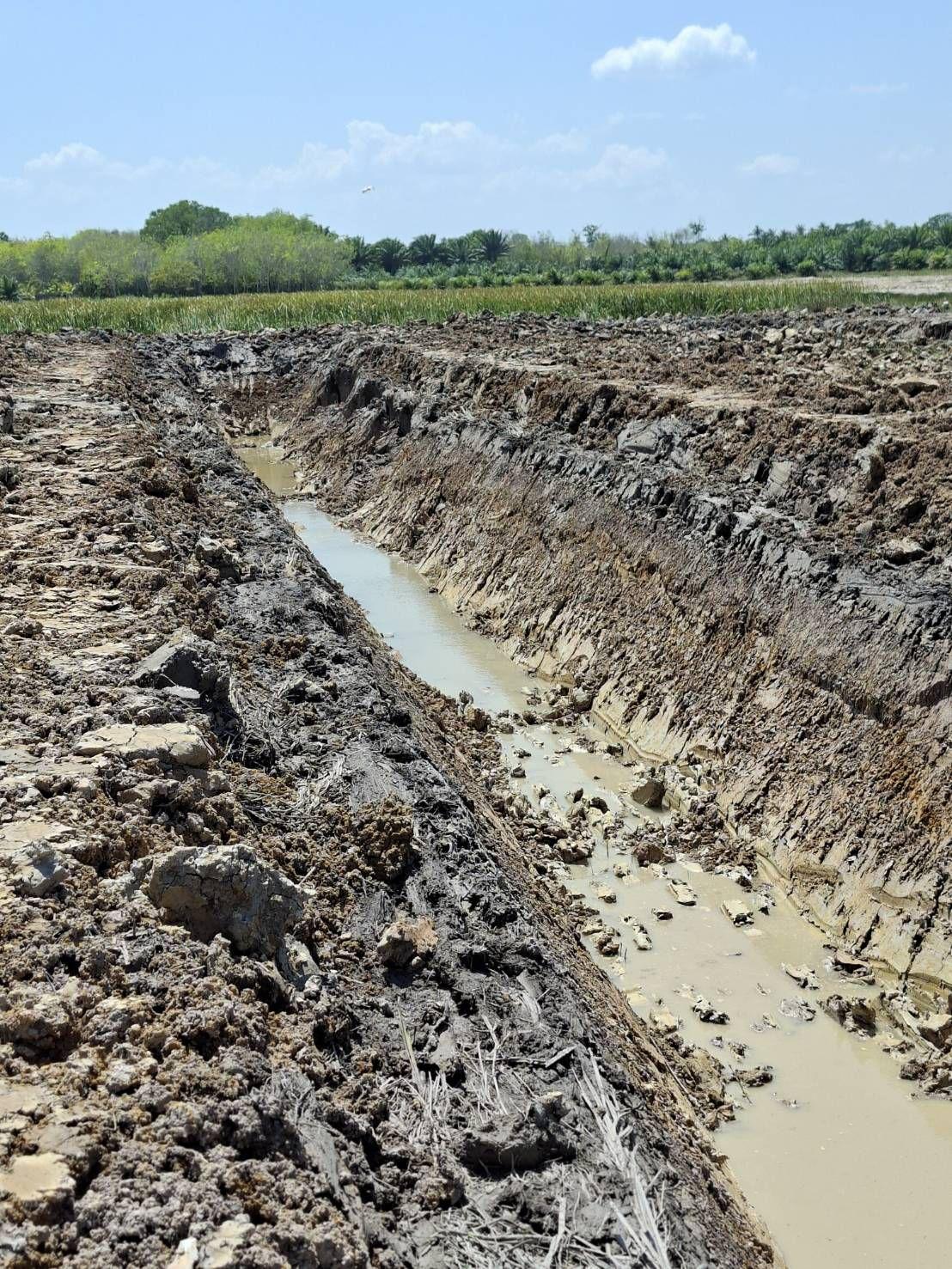 ภาพประกอบที่ 8