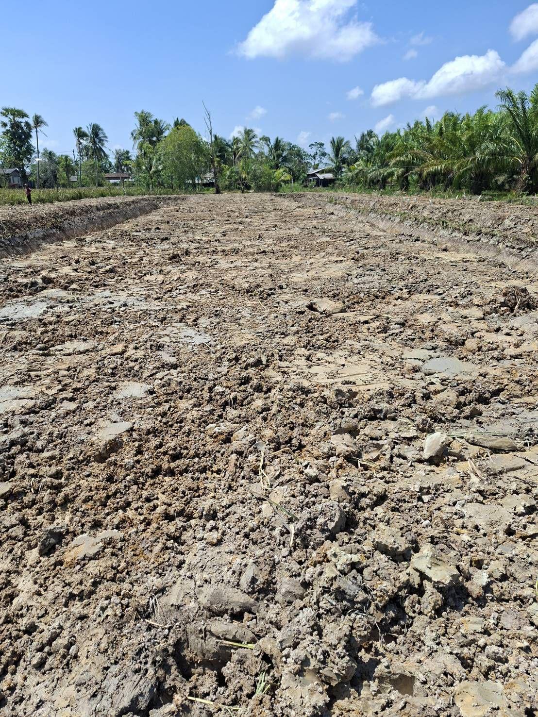 ภาพประกอบที่ 9