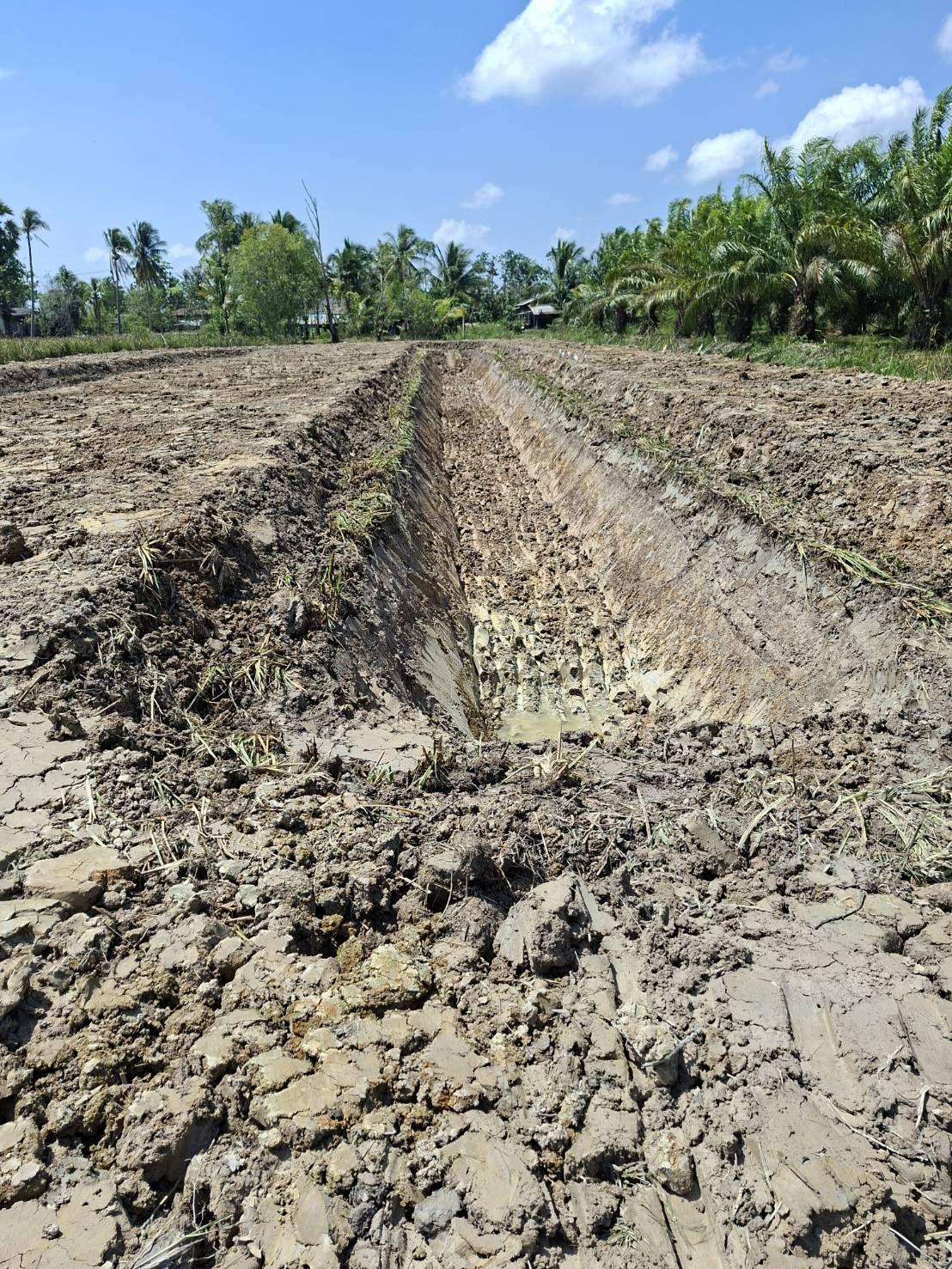 ภาพประกอบที่ 10
