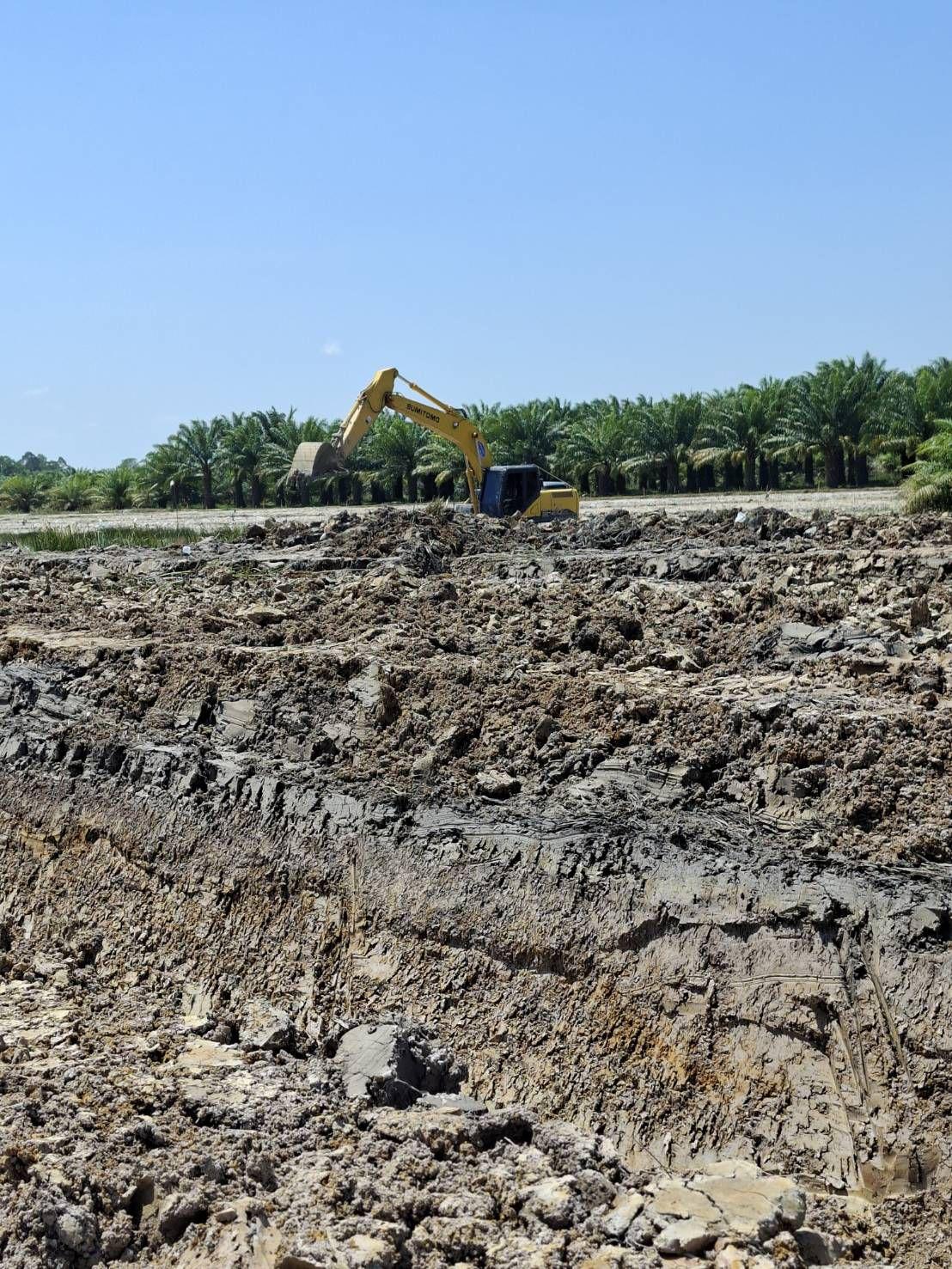 ภาพประกอบที่ 11