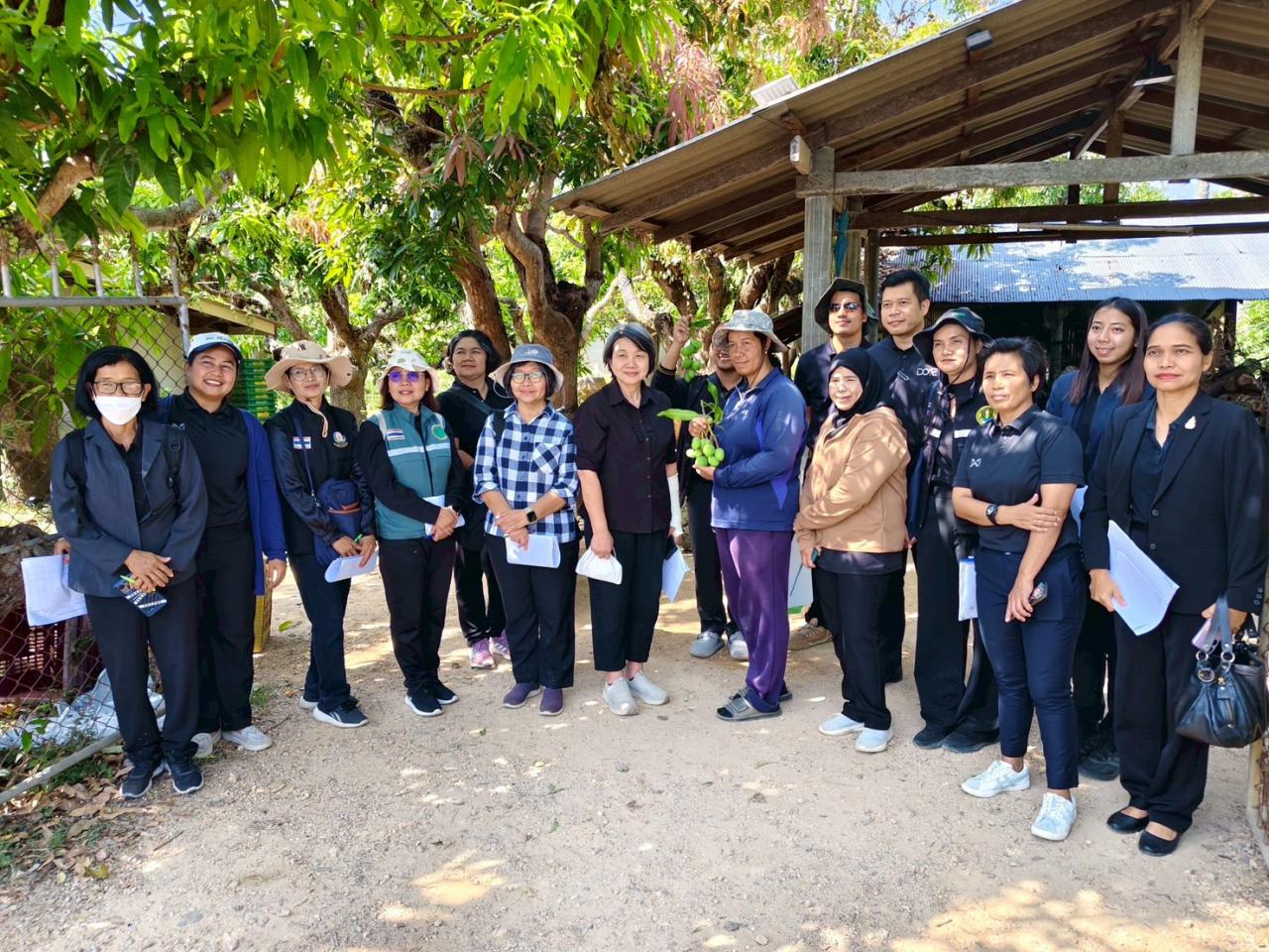 ภาพประกอบที่ 0