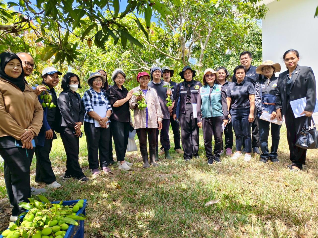 ภาพประกอบที่ 1