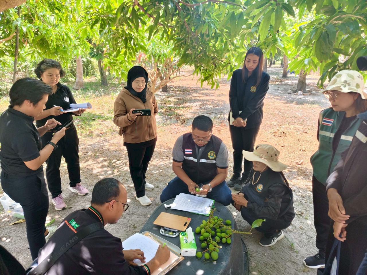 ภาพประกอบที่ 5