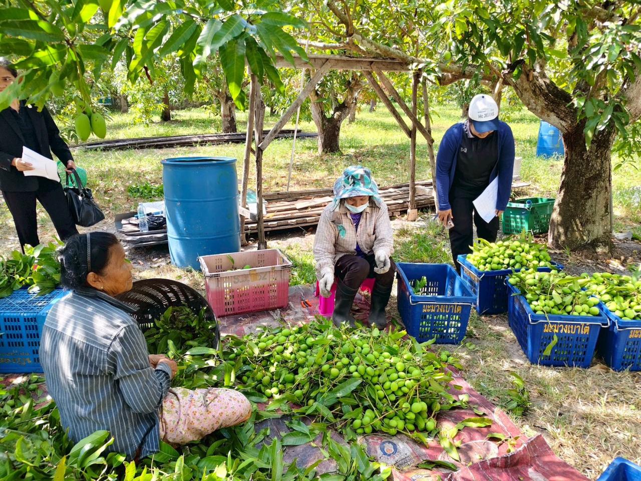 ภาพประกอบที่ 6