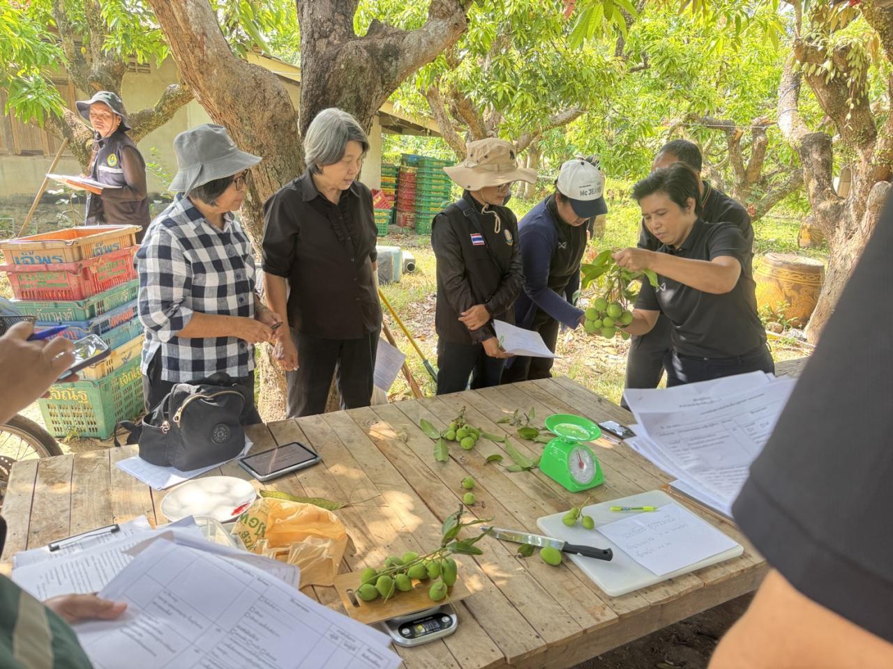 ภาพประกอบที่ 8