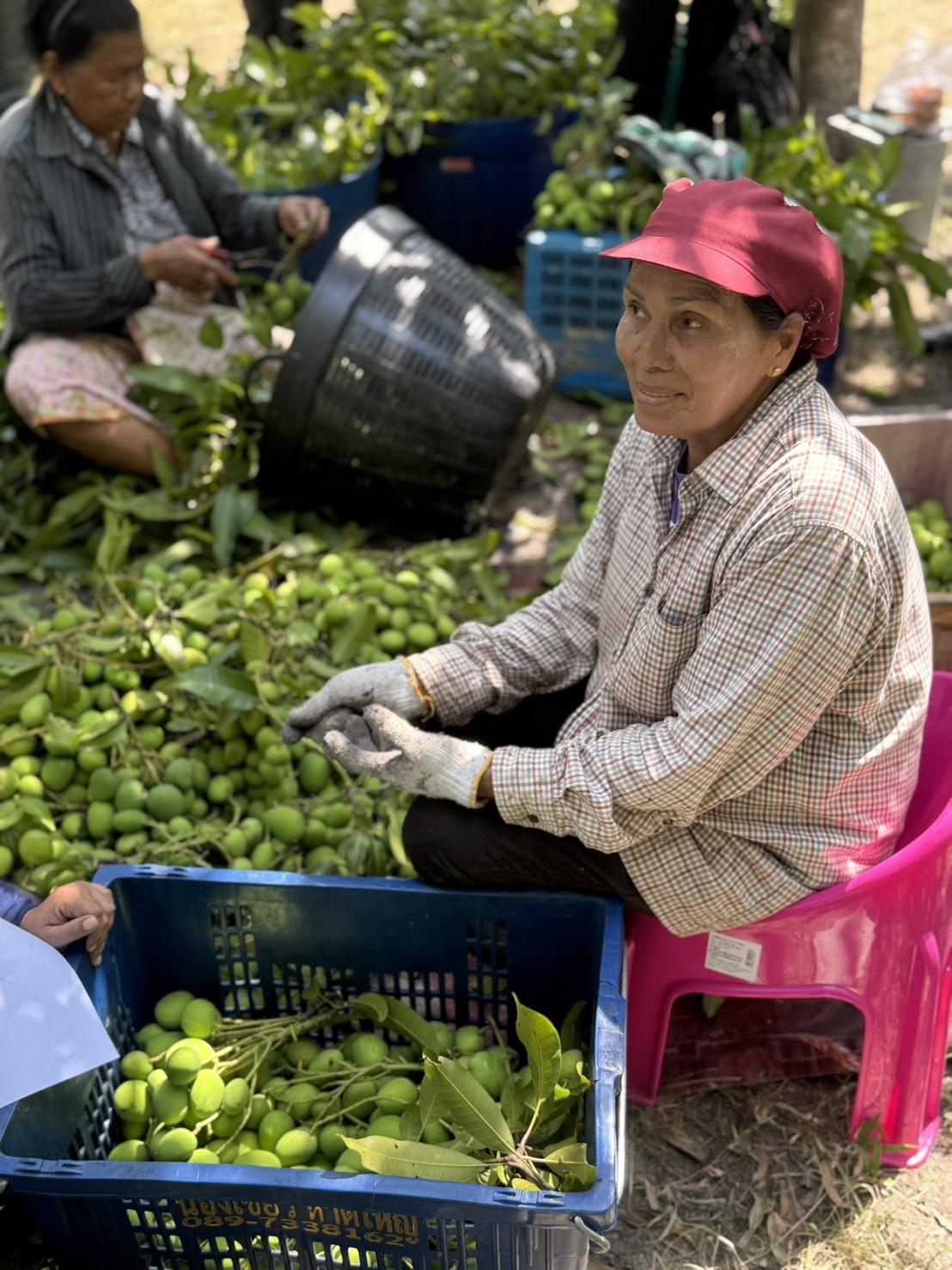 ภาพประกอบที่ 9