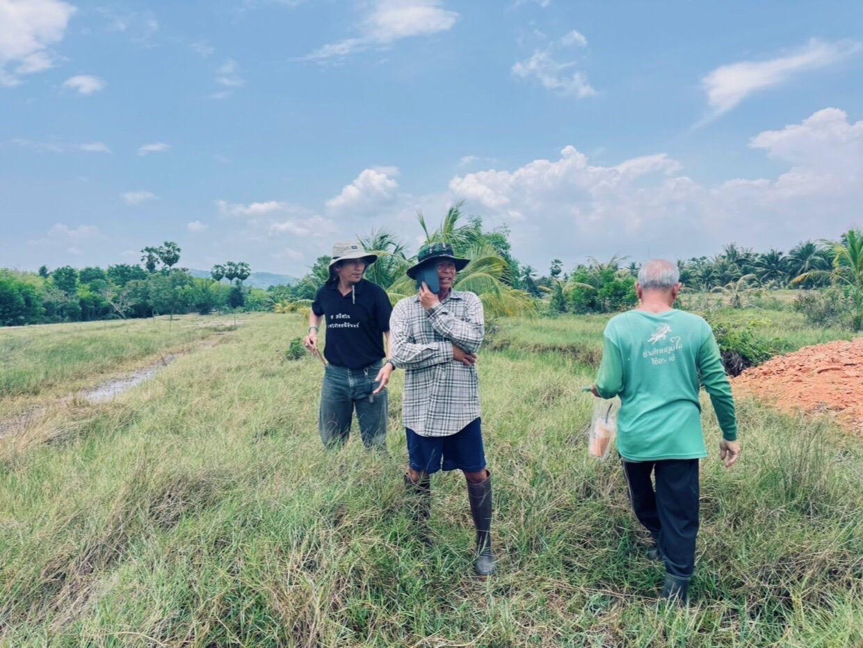 ภาพประกอบที่ 3