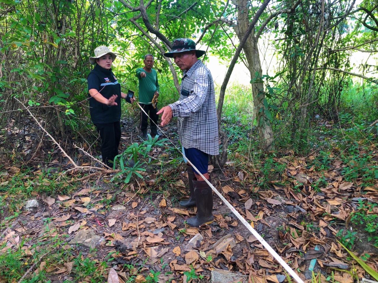 ภาพประกอบที่ 5