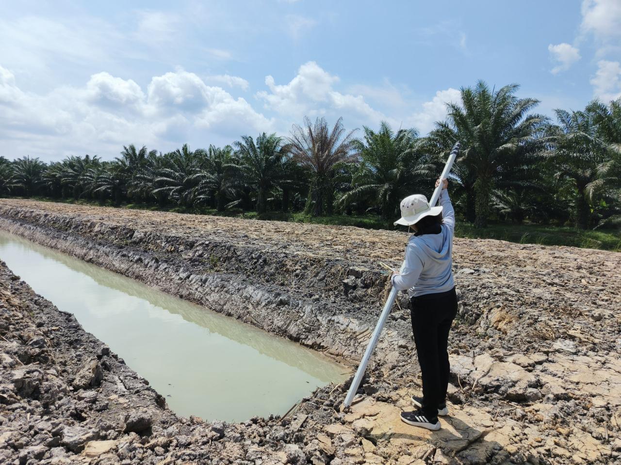 ภาพประกอบที่ 6