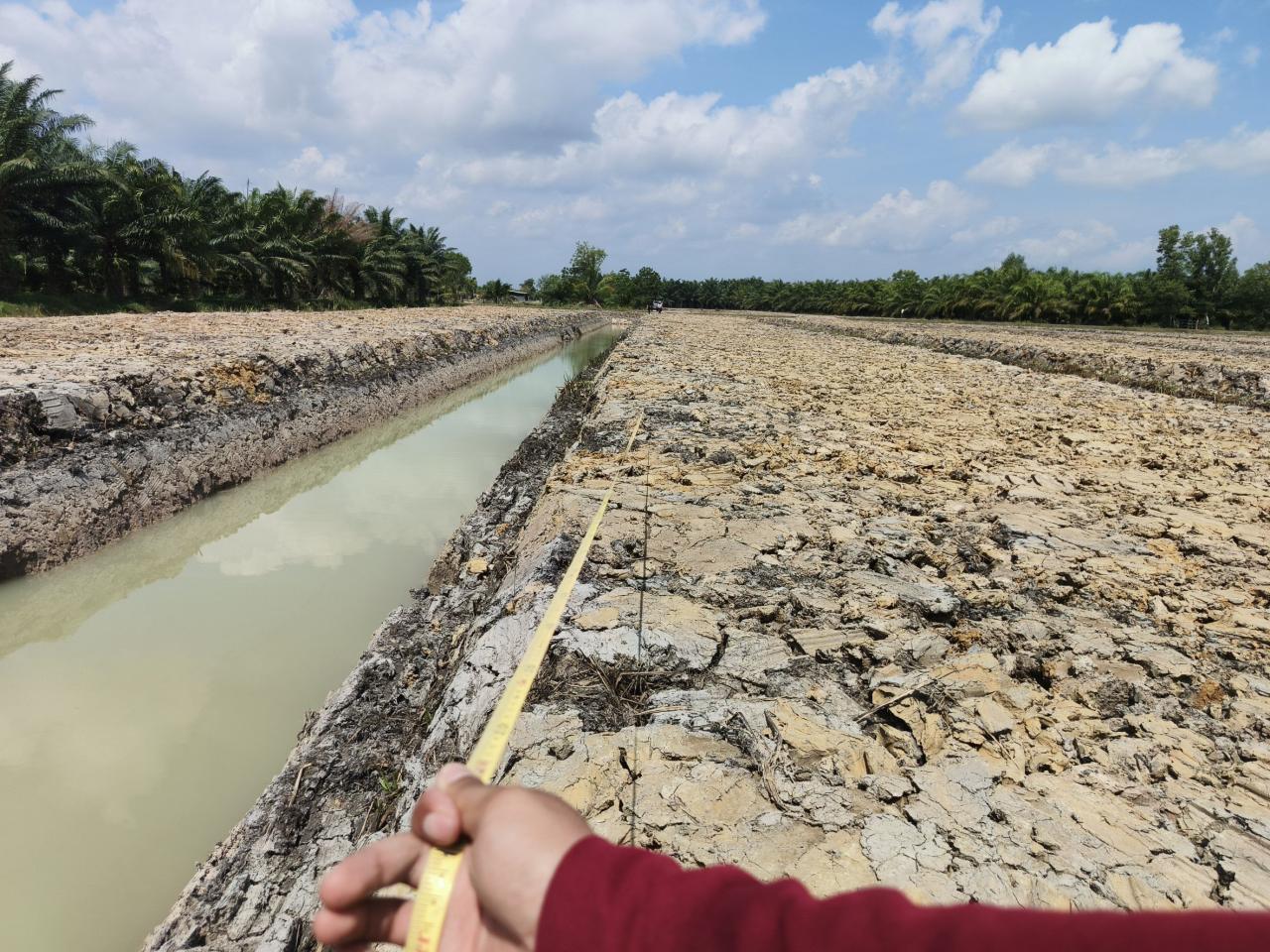 ภาพประกอบที่ 8
