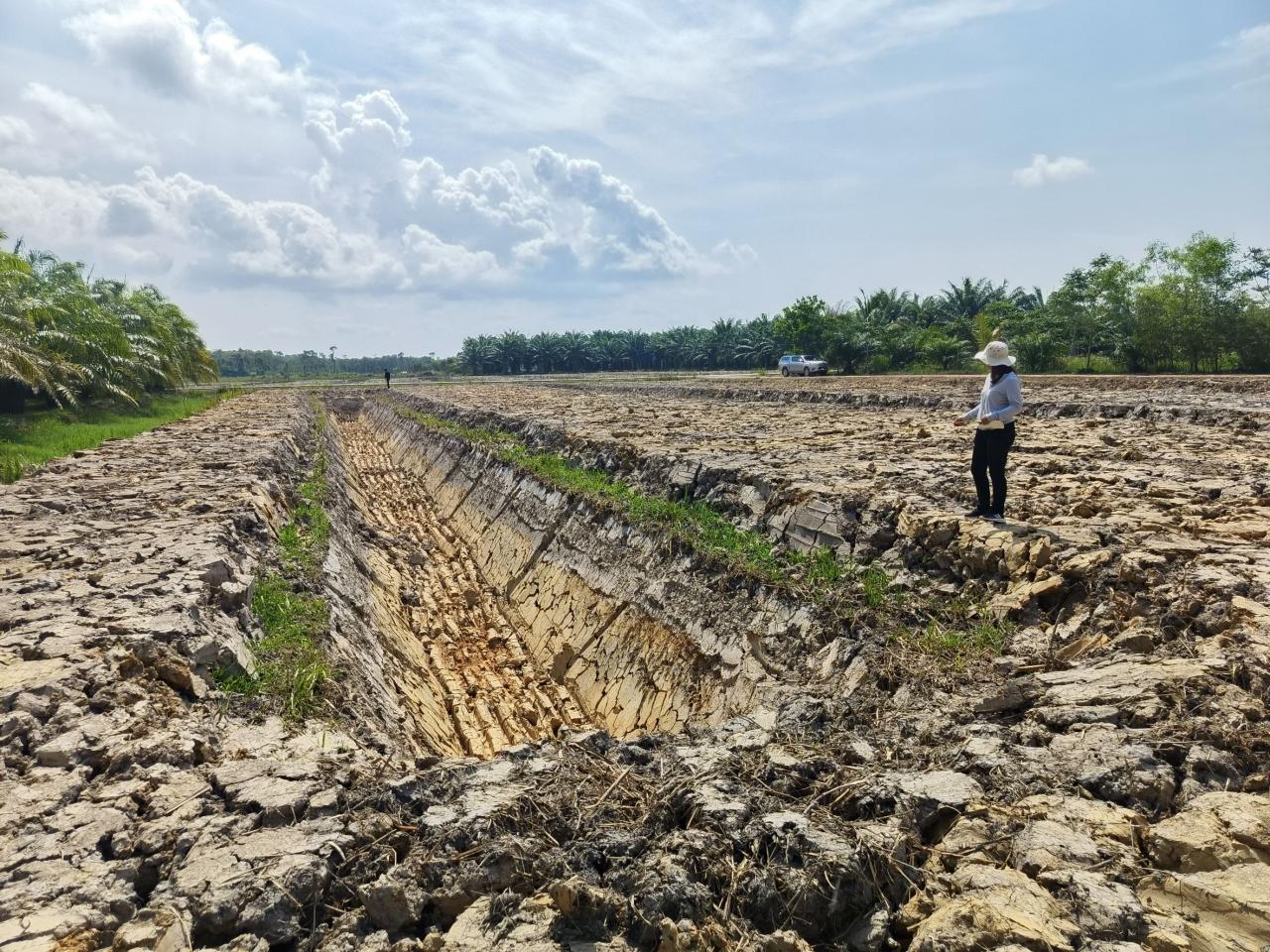 ภาพประกอบที่ 9