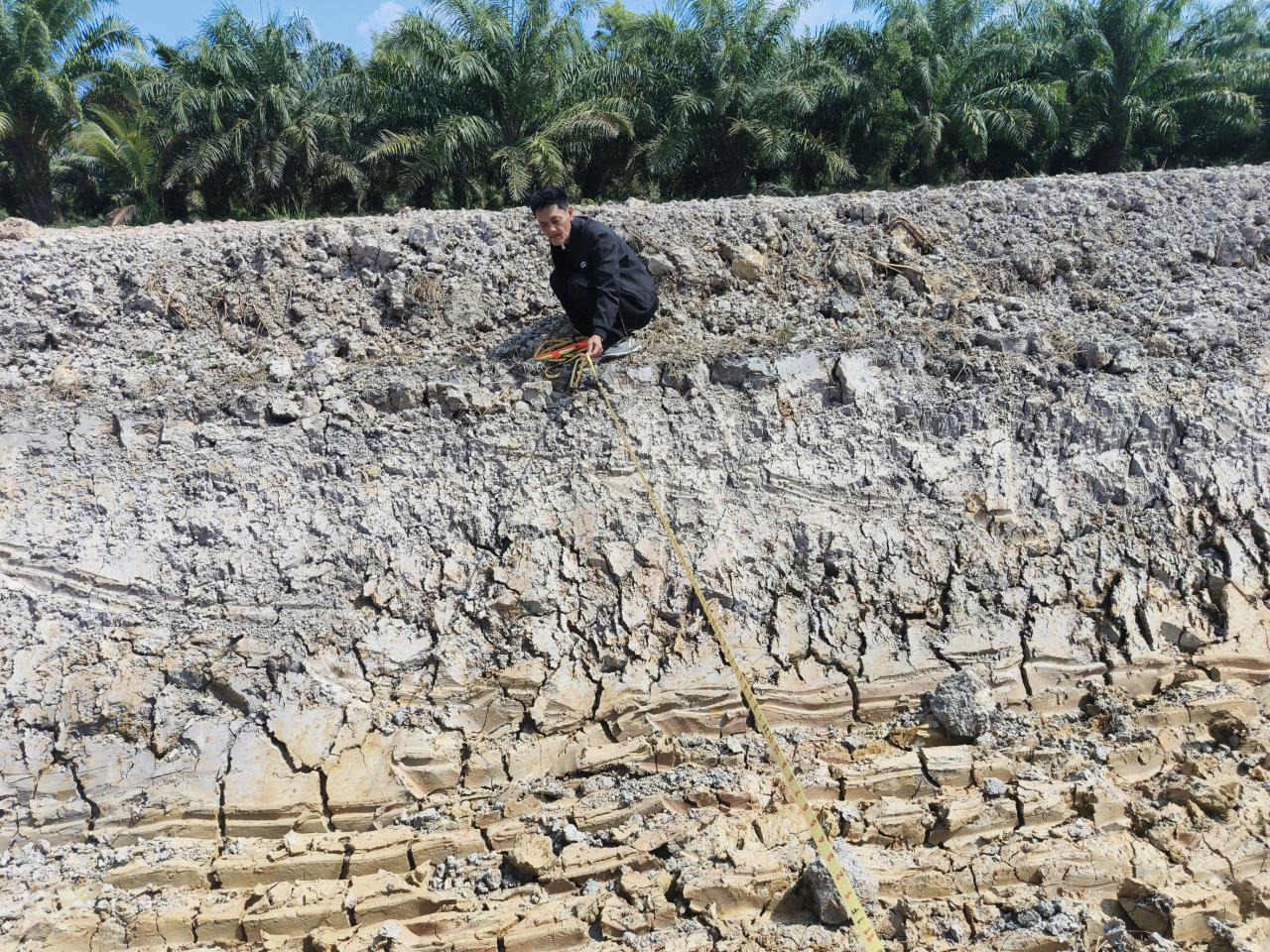 ภาพประกอบที่ 10