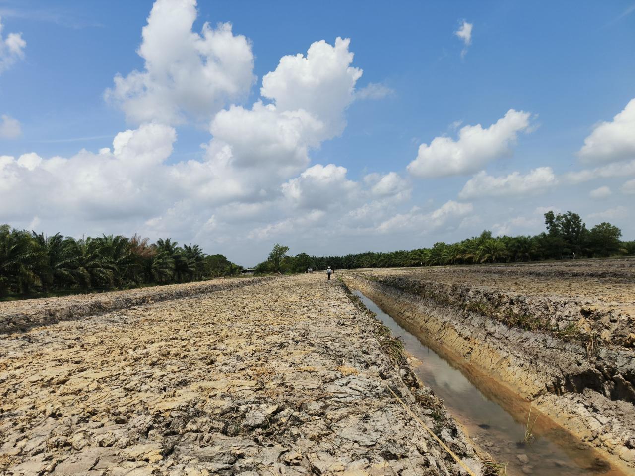 ภาพประกอบที่ 11