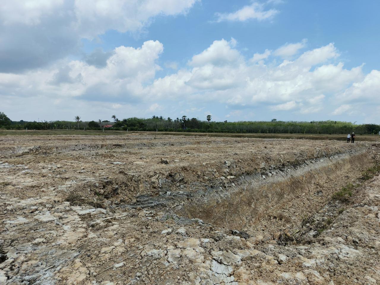 ภาพประกอบที่ 12