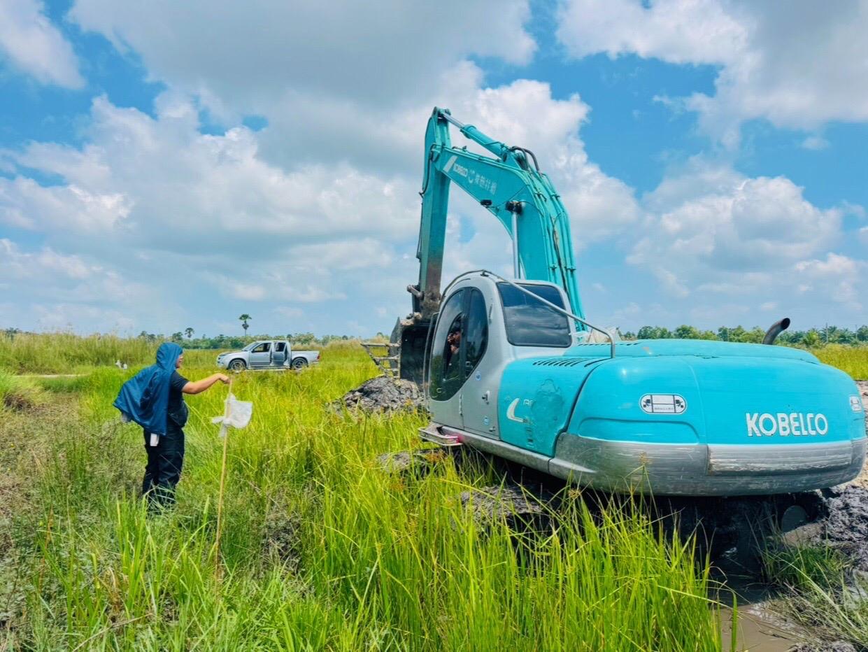 ภาพประกอบที่ 0