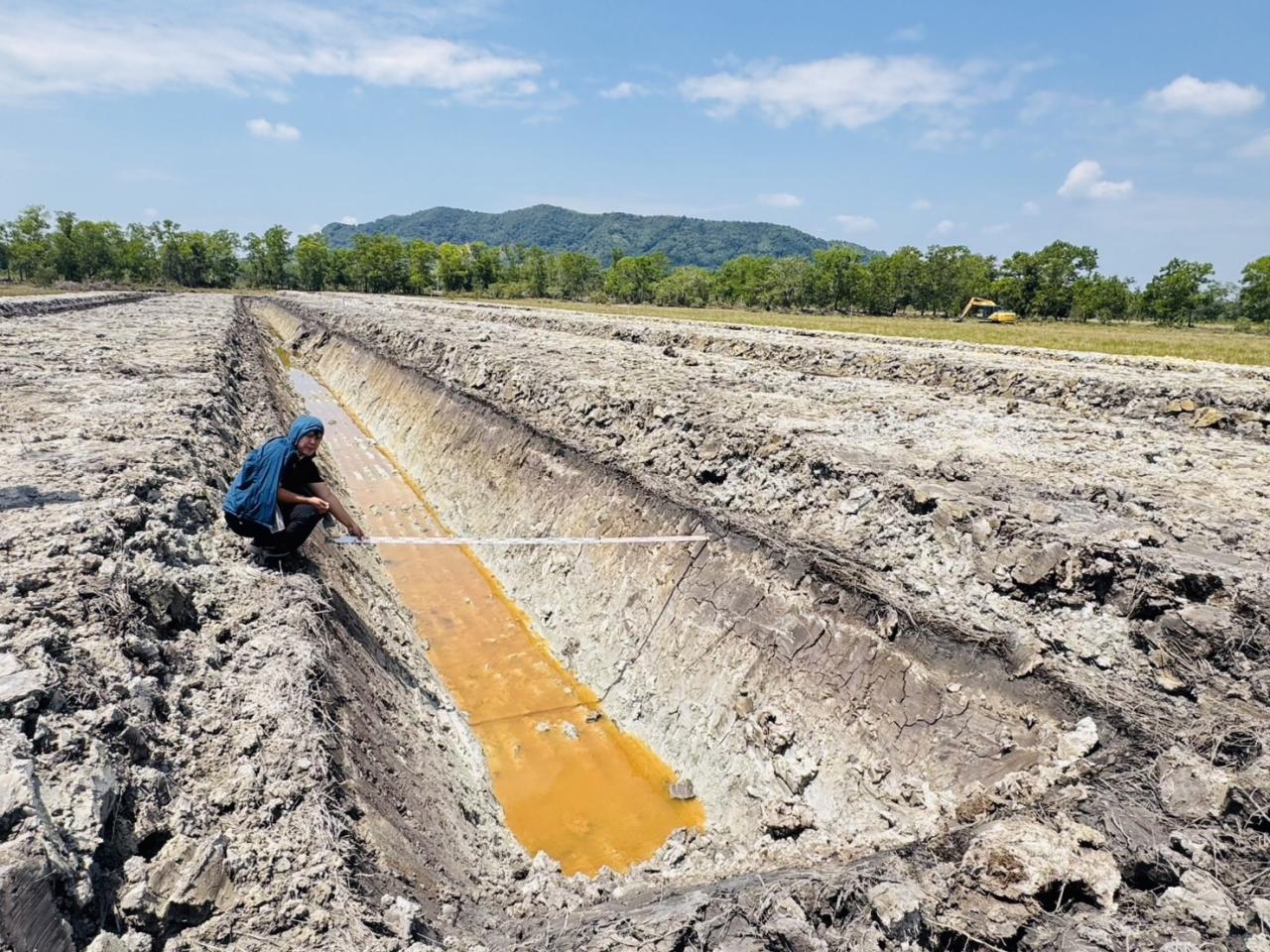 ภาพประกอบที่ 1