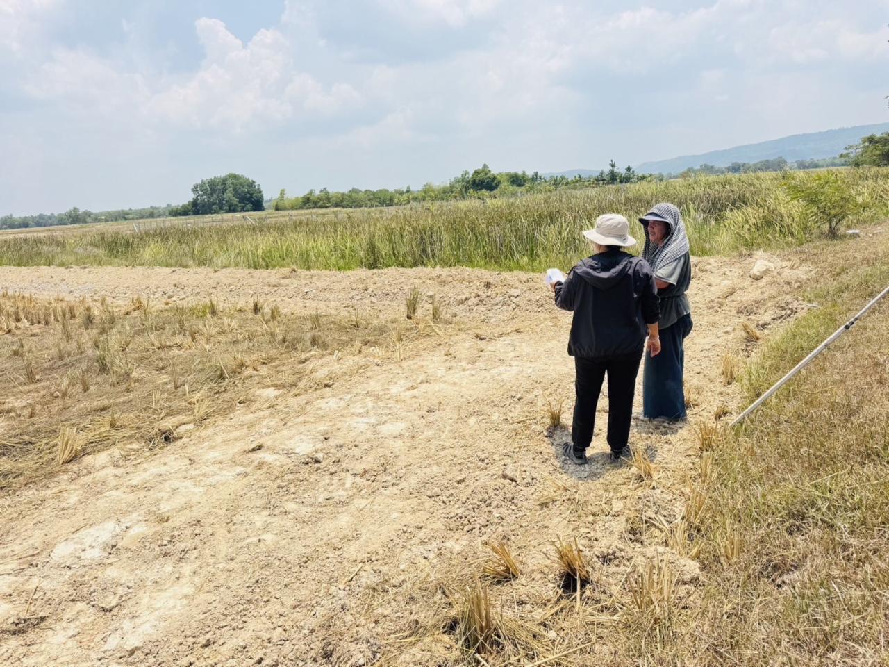 ภาพประกอบที่ 12