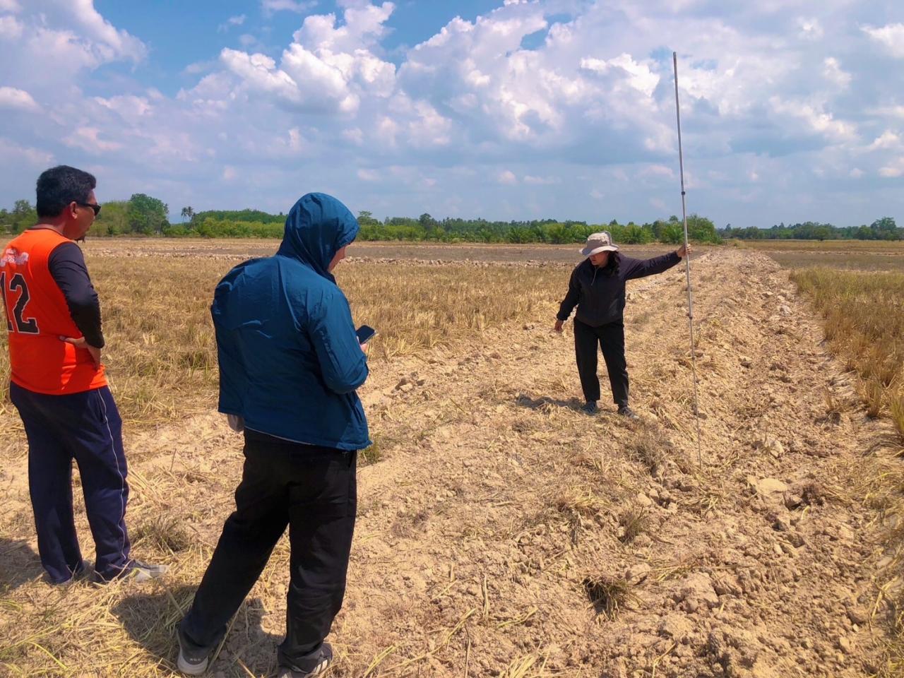 ภาพประกอบที่ 13