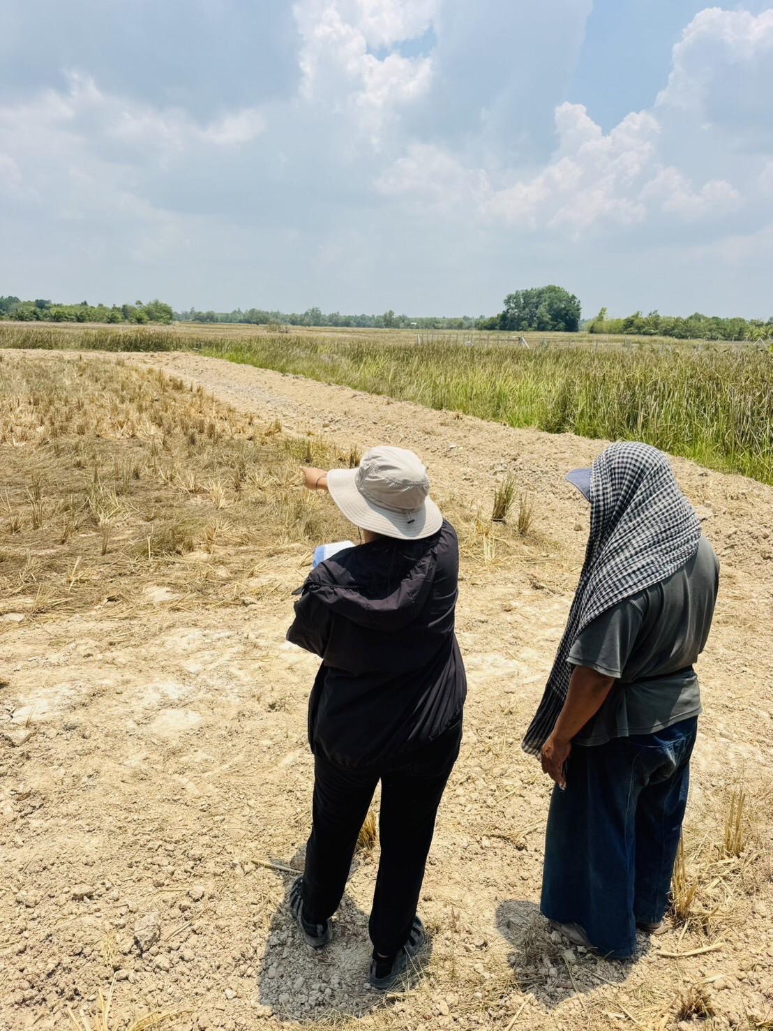 ภาพประกอบที่ 14