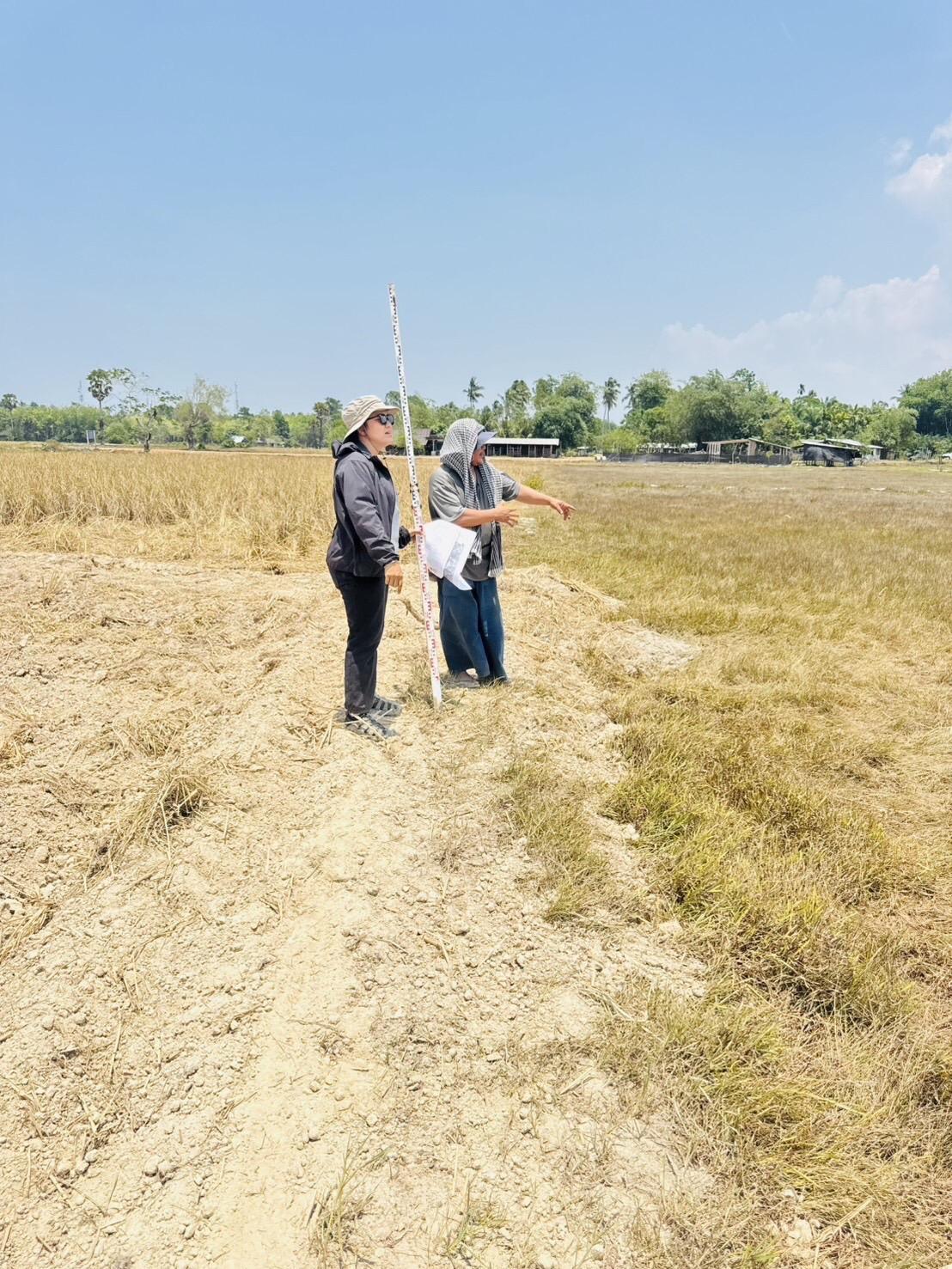 ภาพประกอบที่ 15