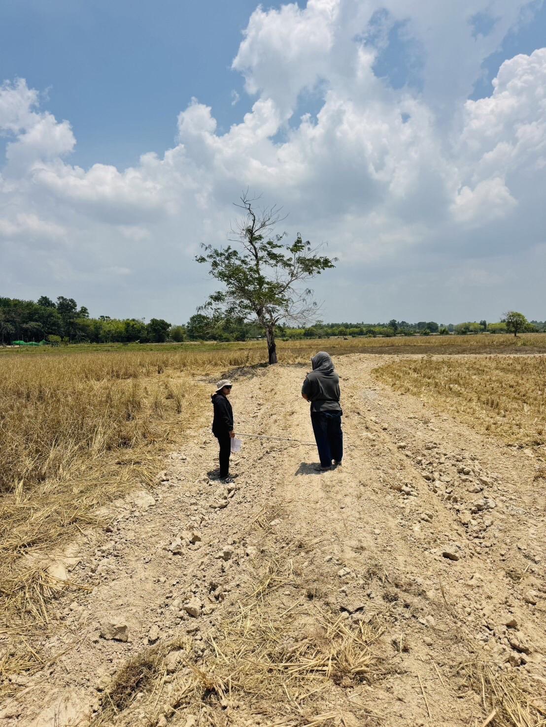 ภาพประกอบที่ 16