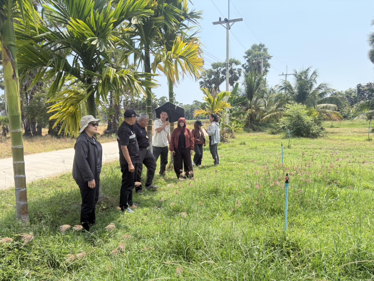 ภาพประกอบที่ 3