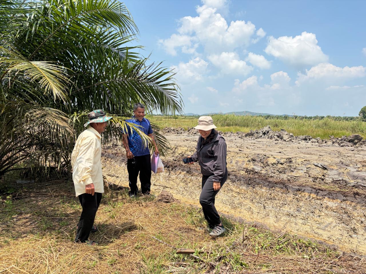 ภาพประกอบที่ 4