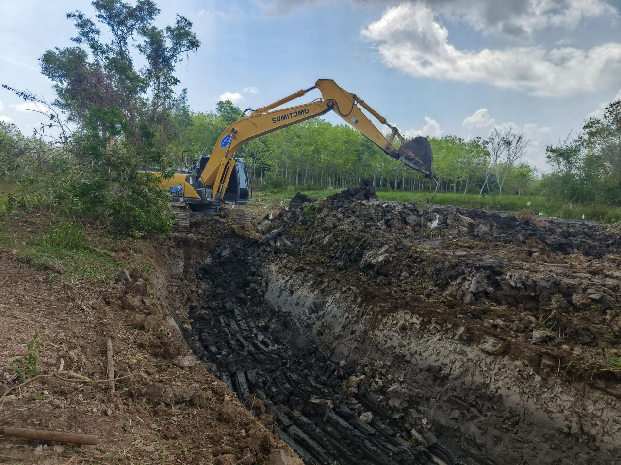 ภาพประกอบที่ 4