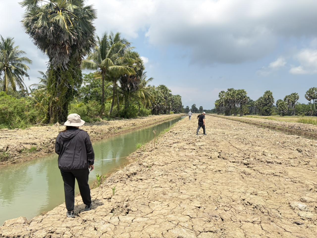 ภาพประกอบที่ 3